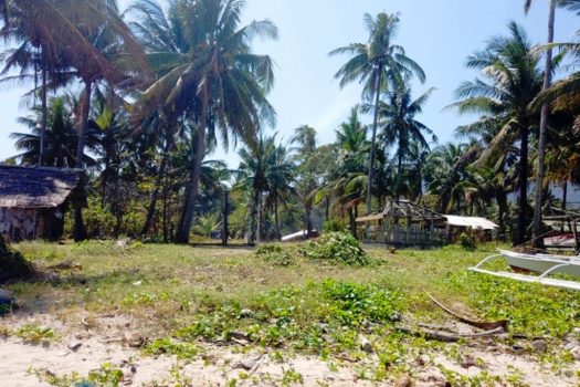 Sunset White Beachfront Investment