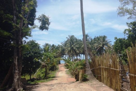 Sunset White Beachfront Investment