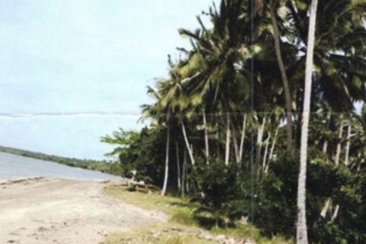 High-Grade White Beach Estate