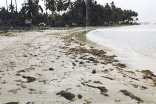 High-Grade White Beach Estate