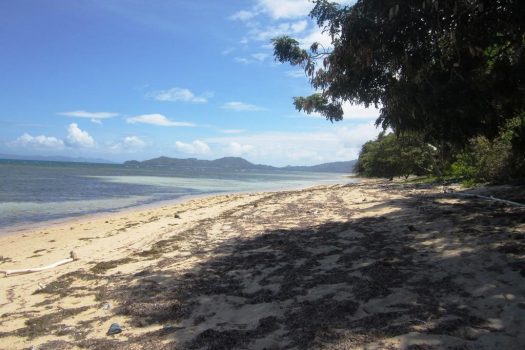 Exclusive Sunrise White Beach