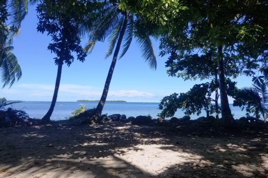 Attractive White Sand Beachfront