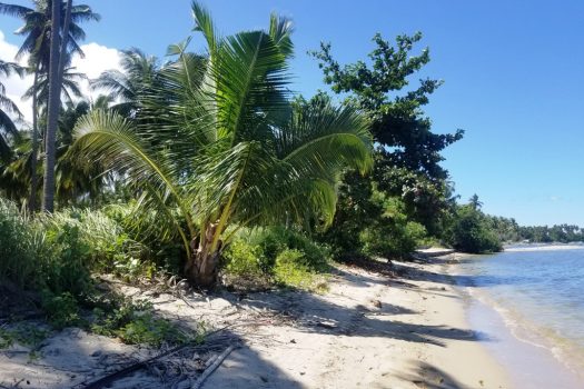 Attractive White Sand Beachfront