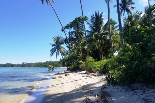 Attractive White Sand Beachfront