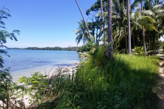 Attractive White Sand Beachfront