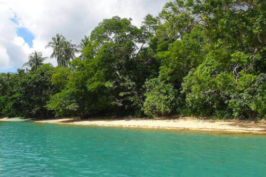 Outstanding Recreational White Beachfront