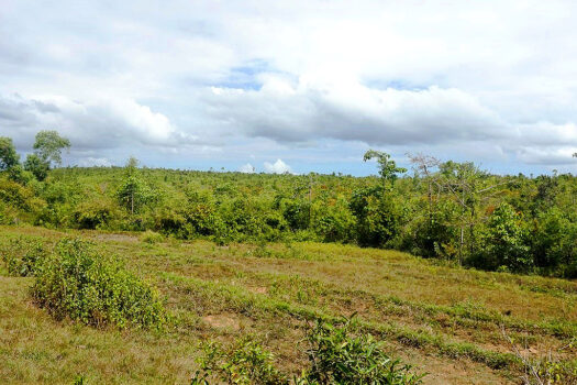 Estate with Overlooking Views of Honda Bay