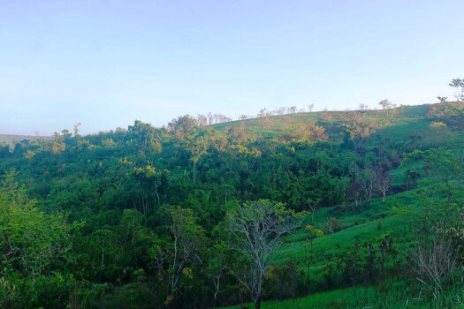 Estate with Overlooking Views of Honda Bay