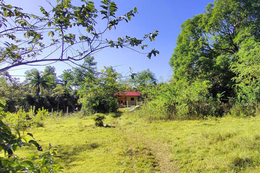 High Potential Homestead Farm Estate