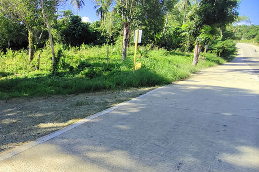 High Potential Homestead Farm Estate