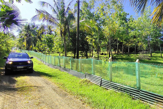 High Potential Homestead Farm Estate