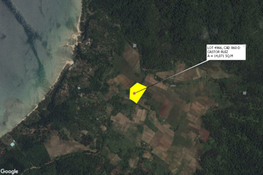 Investment Estate near Port Barton Beach