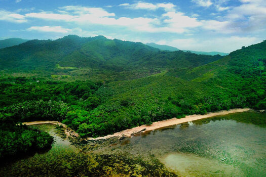 Nature Lovers Exclusive Beachfront