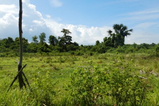 Agri-lots with Commercial Potential near Beach