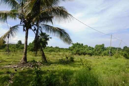 Agri-lots with Commercial Potential near Beach