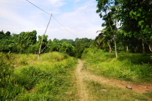 Agri-lots with Commercial Potential near Beach