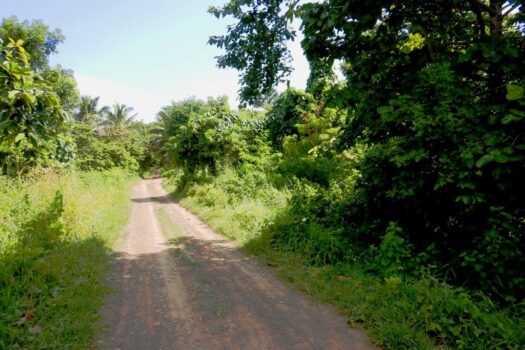 Agri-lots with Commercial Potential near Beach