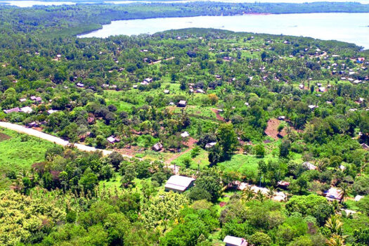 Parcels of Land Suited for Residential Subdivision