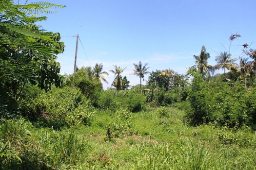 Parcels of Land Suited for Residential Subdivision