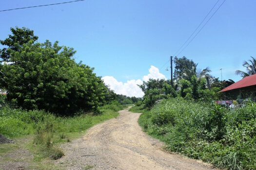 Parcels of Land Suited for Residential Subdivision