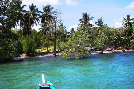 Distinctive Seafront Estate in Honda Bay
