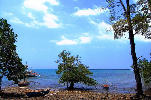 Distinctive Seafront Estate in Honda Bay