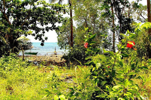 Distinctive Seafront Estate in Honda Bay