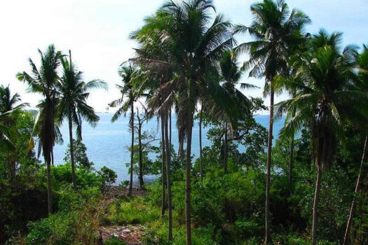 Distinctive Seafront Estate in Honda Bay
