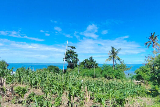 Tropical Sunrise Beachfront for Retirement Lifestyle