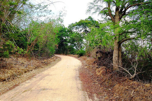 Tropical Sunrise Beachfront for Retirement Lifestyle