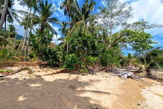 Sunrise Seafront Estate for Tropical Lifestyle