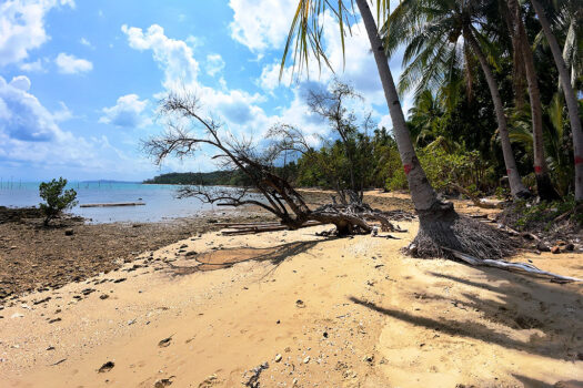 Sunrise Seafront Estate for Tropical Lifestyle