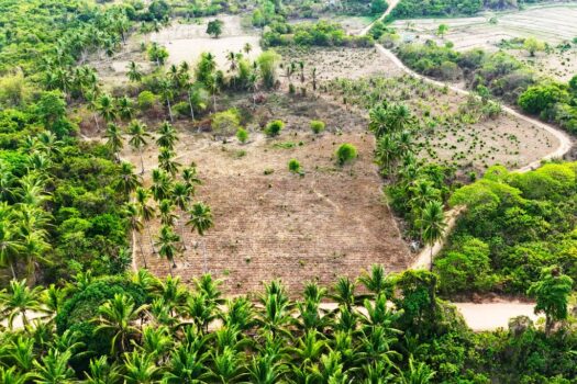 Tropical Homestead Subdivision near Beach