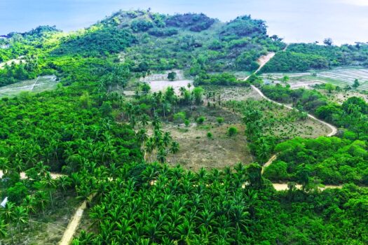 Tropical Homestead Subdivision near Beach