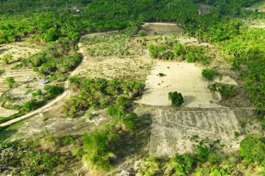Tropical Homestead Subdivision near Beach
