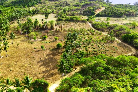Tropical Homestead Subdivision near Beach