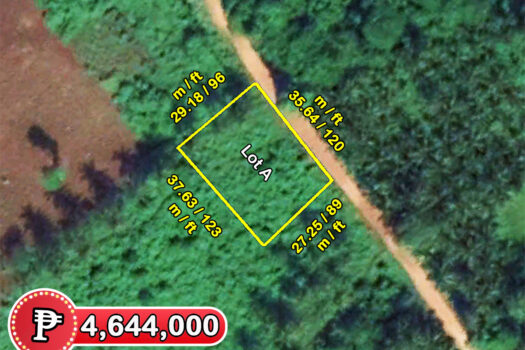 Tropical Homestead Subdivision near Beach