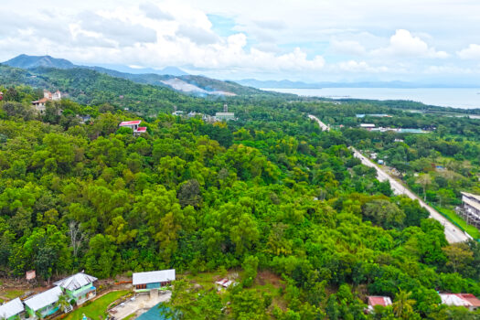 Commercial Estate for Sale Near Honda Bay