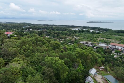 Commercial Estate for Sale Near Honda Bay