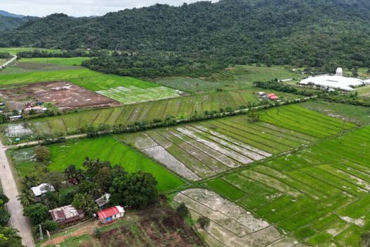 Prime 26 Subdivided Residential Lots– Ideal for Commercial or Residential Investment