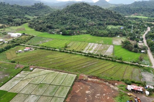 Prime 26 Subdivided Residential Lots– Ideal for Commercial or Residential Investment