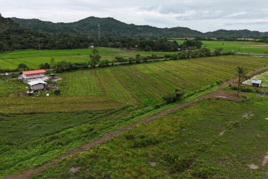 Prime 26 Subdivided Residential Lots– Ideal for Commercial or Residential Investment