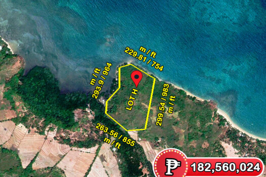 Outstanding Recreational White Beachfront