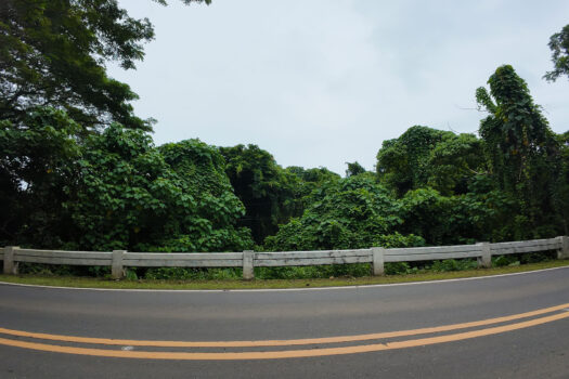 Superior Leisure Estate Along National Road