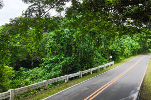 Superior Leisure Estate Along National Road