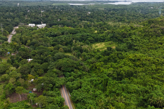 Superior Leisure Estate Along National Road