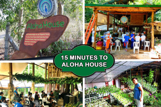 Habitat Farmland Permaculture Opportunity