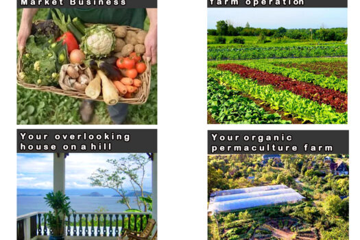 Habitat Farmland Permaculture Opportunity