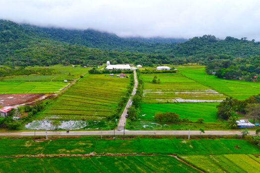 Prime 26 Subdivided Residential Lots– Ideal for Commercial or Residential Investment