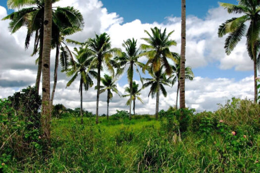 Prime Land Next to the Coast
